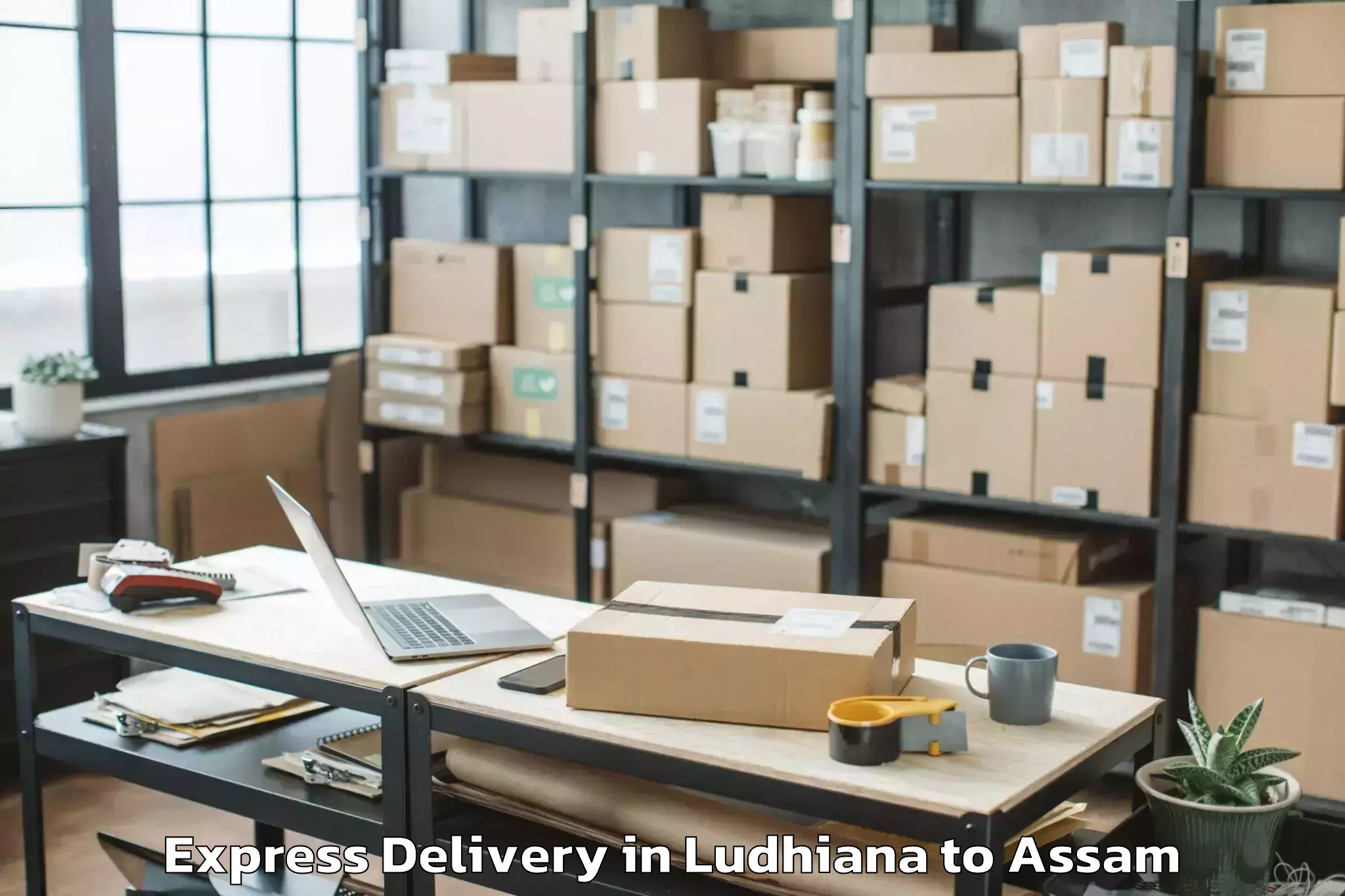 Affordable Ludhiana to Lakhipur Express Delivery